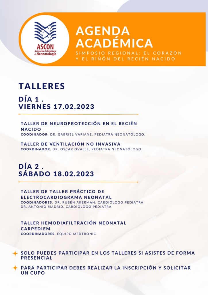 talleres simposio febrero